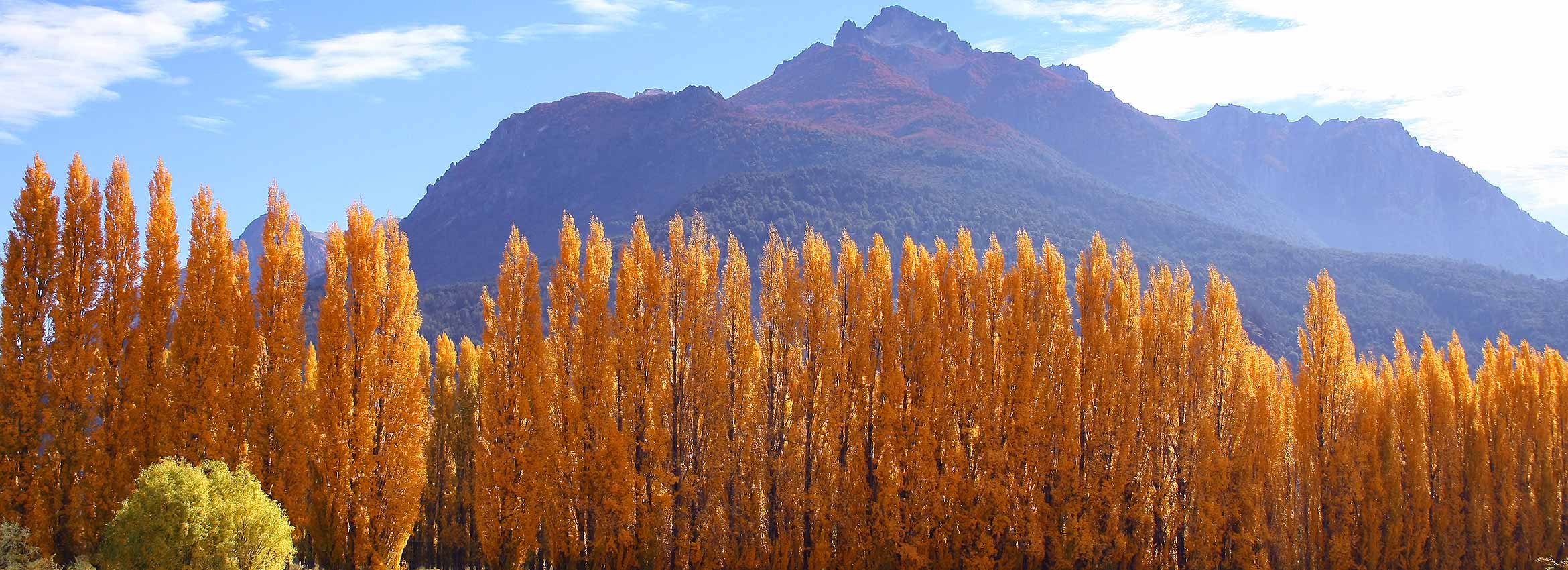 Fotos: José Nahuelquir / josenahuelquir@gmail.com