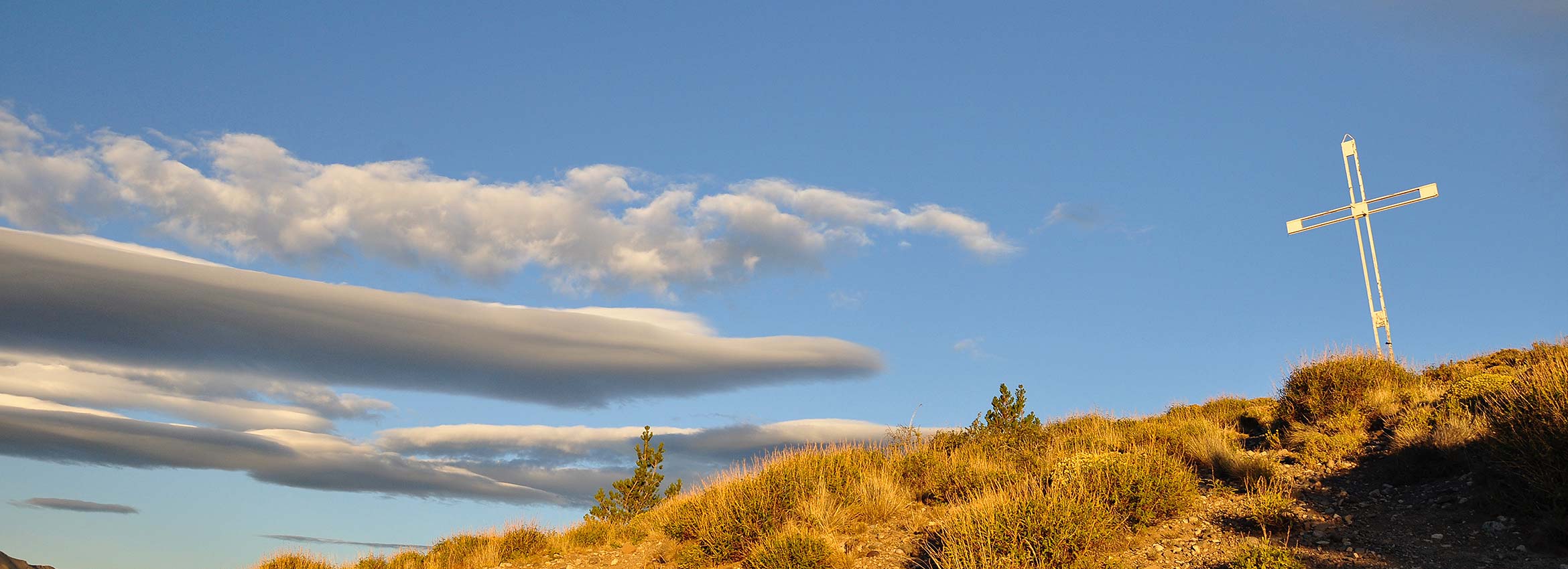Distribuidora Mayorista 